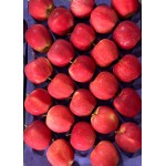 PINK LADY APPLES GIFT BOX : 5KG