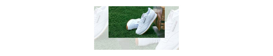 Sports Shoes 