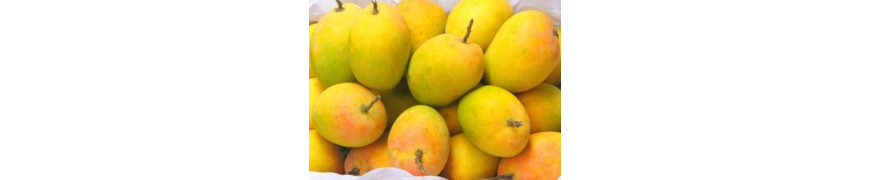 Mangoes