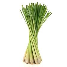 Exotic Vegetables